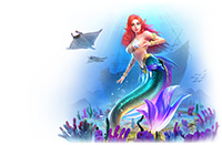 superwin636 ทางเข้าsbobet แทงบอลออนไลน์ สมัครสมาชิกฟรีเล่นกันแบบจุใจ